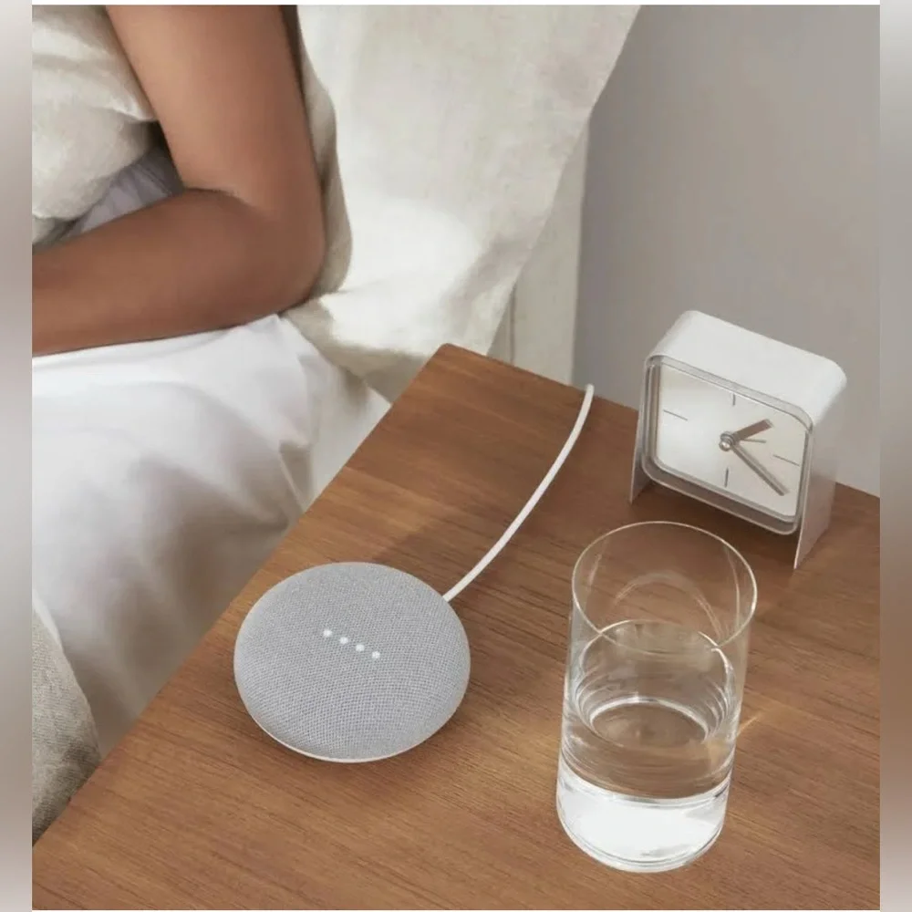 GOOGLE || Home Mini - Light Gray Smart Speaker